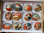 Polished Polychrome Jasper Palm Stones x 12 From NW Coast, Madagascar - Toprock Gemstones and Minerals 
