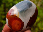 Polished Polychrome Jasper Palm Stones x 12 From NW Coast, Madagascar - Toprock Gemstones and Minerals 