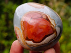Polished Polychrome Jasper Palm Stones x 12 From NW Coast, Madagascar - Toprock Gemstones and Minerals 