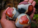 Polished Polychrome Jasper Palm Stones x 12 From NW Coast, Madagascar - Toprock Gemstones and Minerals 