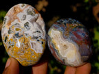 Polished Rare Ocean Jasper Galets x 24 From Northwest Coast, Madagascar - Toprock Gemstones and Minerals 
