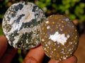 Polished Rare Ocean Jasper Galets x 24 From Northwest Coast, Madagascar - Toprock Gemstones and Minerals 