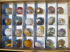Polished Rare Ocean Jasper Galets x 24 From Northwest Coast, Madagascar - Toprock Gemstones and Minerals 