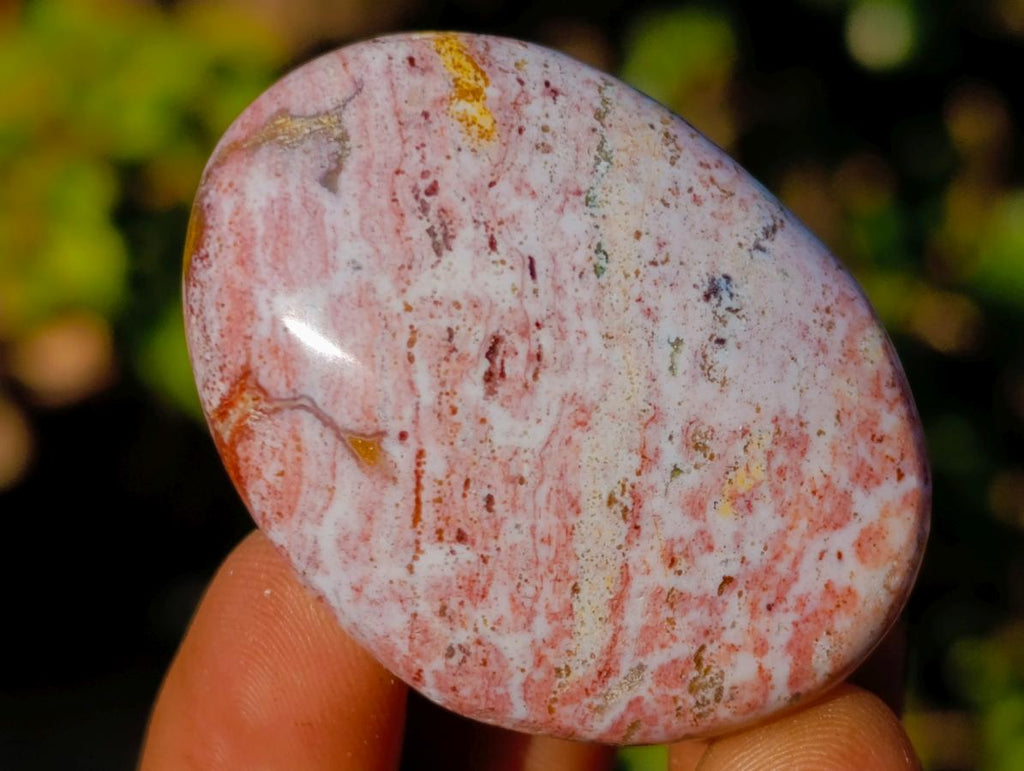 Polished Rare Ocean Jasper Galets x 24 From Northwest Coast, Madagascar - Toprock Gemstones and Minerals 