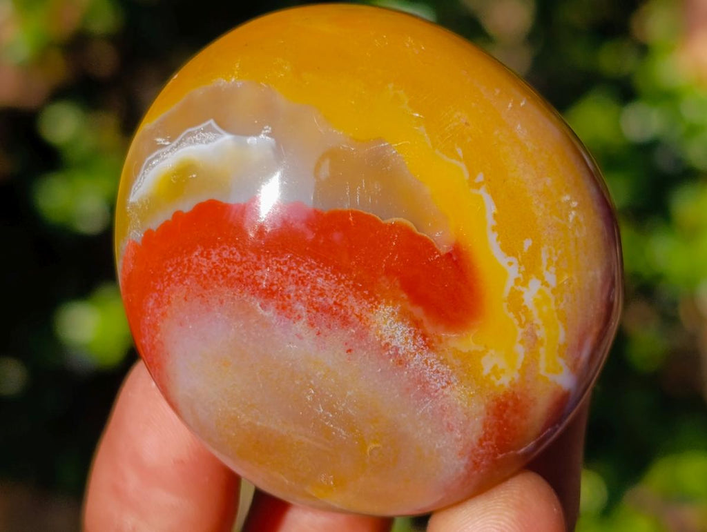 Polished Rare Ocean Jasper Galets x 24 From Northwest Coast, Madagascar - Toprock Gemstones and Minerals 