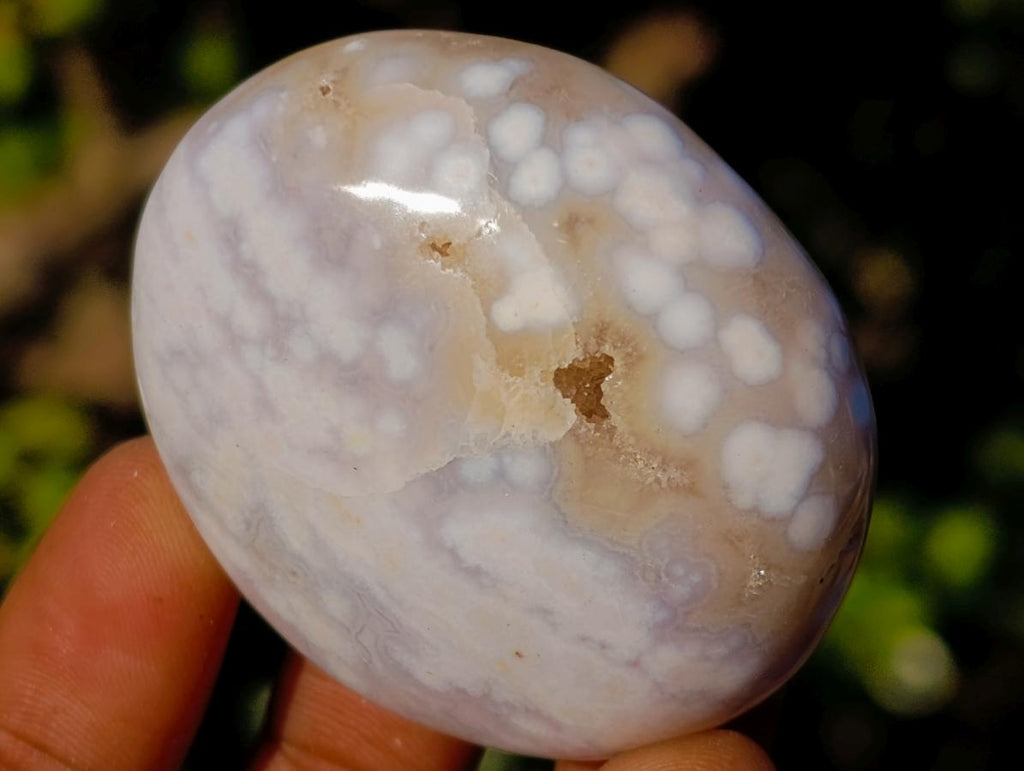 Polished Rare Ocean Jasper Galets x 24 From Northwest Coast, Madagascar - Toprock Gemstones and Minerals 