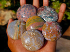 Polished Rare Ocean Jasper Galets x 24 From Northwest Coast, Madagascar - Toprock Gemstones and Minerals 