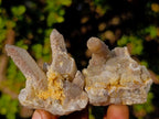 Natural Drusy Fairy Spirit Quartz Crystals and Clusters x 35 From Boekenhouthoek, South Africa - Toprock Gemstones and Minerals 