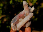 Natural Drusy Fairy Spirit Quartz Crystals and Clusters x 35 From Boekenhouthoek, South Africa - Toprock Gemstones and Minerals 