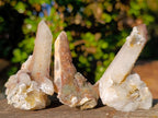 Natural Drusy Fairy Spirit Quartz Crystals and Clusters x 35 From Boekenhouthoek, South Africa - Toprock Gemstones and Minerals 