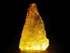 Natural Copal Amber Specimens with Insect and Plant Inclusions x 35 From Lemur Island, Madagascar - Toprock Gemstones and Minerals 
