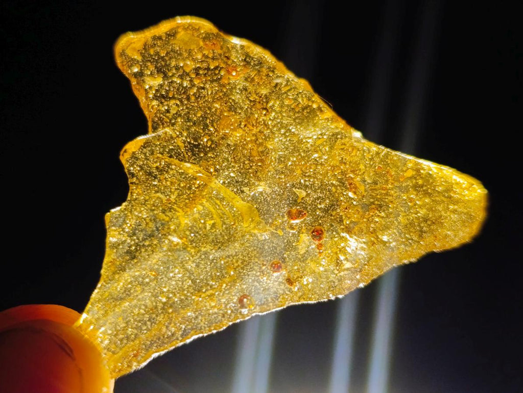 Natural Copal Amber Specimens with Insect and Plant Inclusions x 35 From Lemur Island, Madagascar - Toprock Gemstones and Minerals 