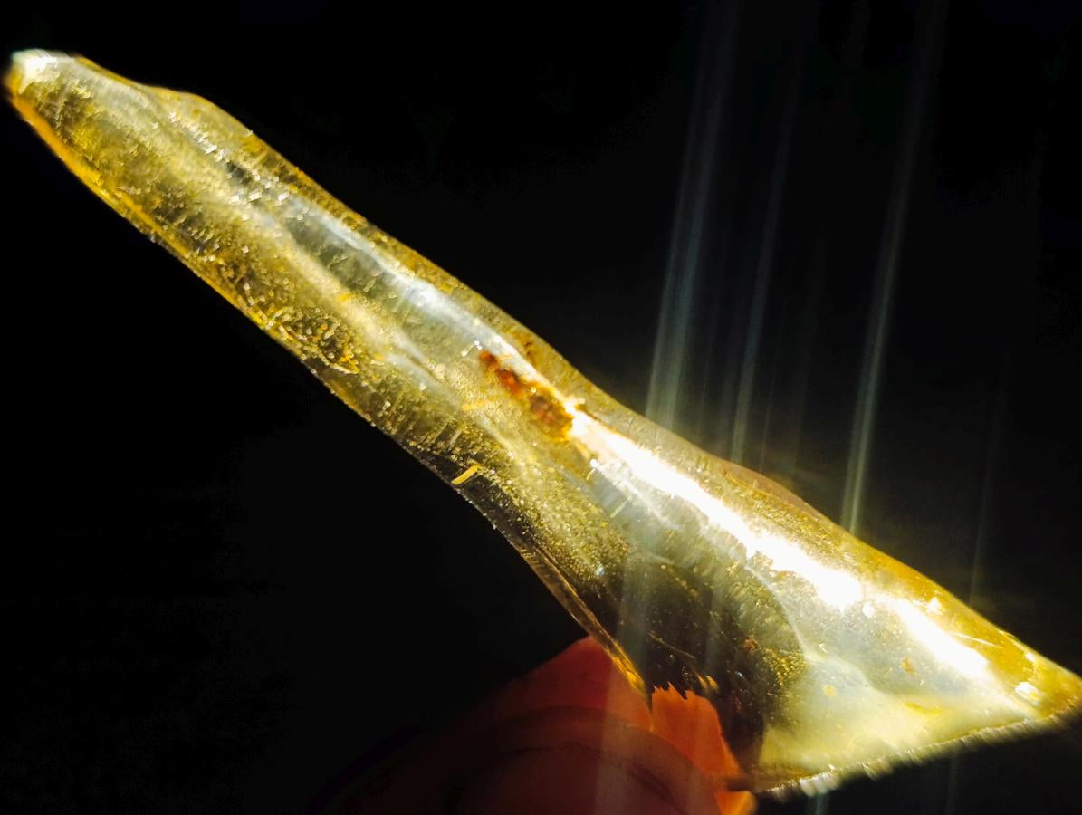 Natural Copal Amber Specimens with Insect and Plant Inclusions x 35 From Lemur Island, Madagascar - Toprock Gemstones and Minerals 