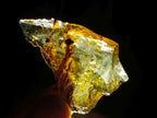 Natural Copal Amber Specimens with Insect and Plant Inclusions x 35 From Lemur Island, Madagascar - Toprock Gemstones and Minerals 