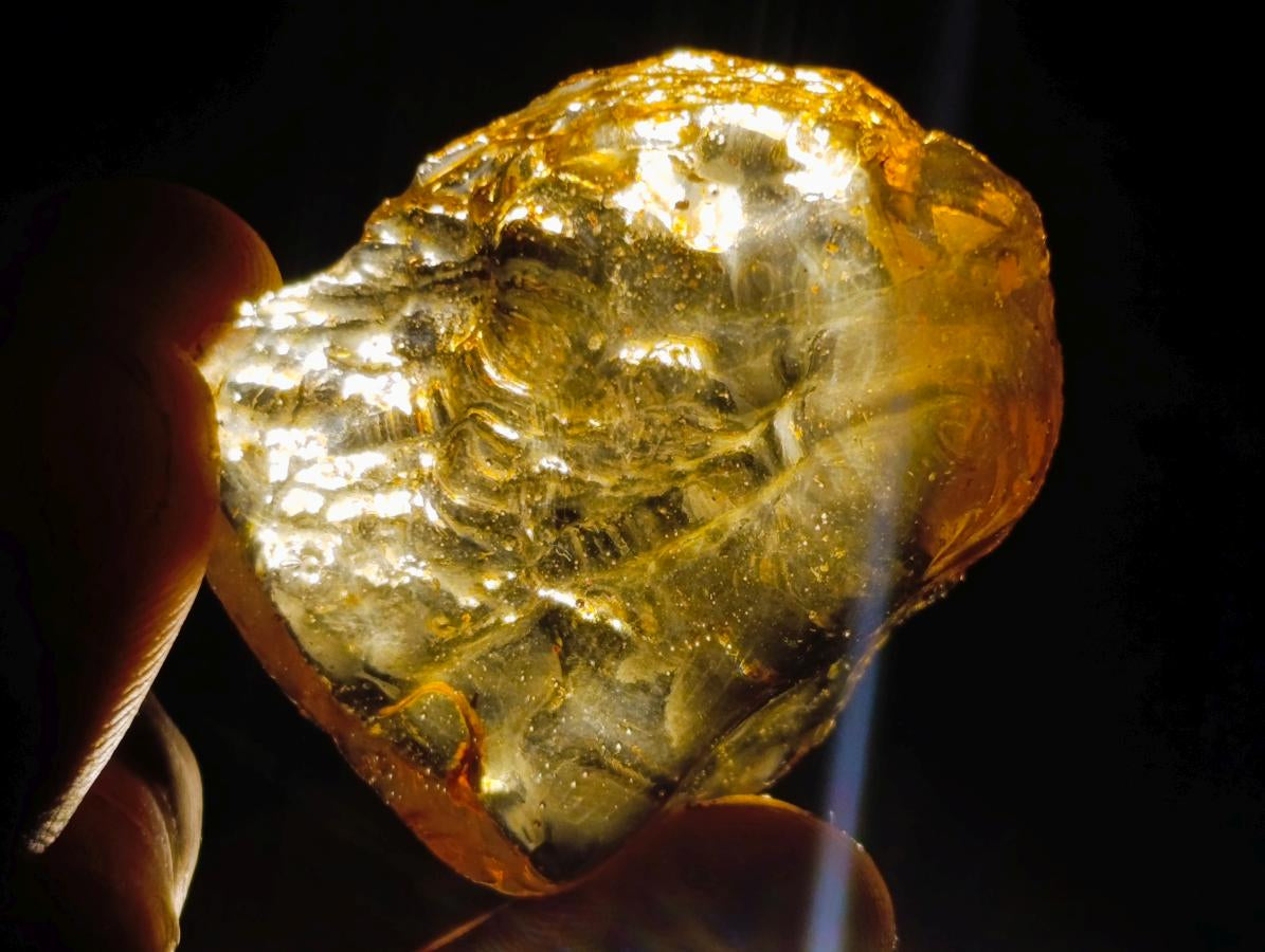 Natural Copal Amber Specimens with Insect and Plant Inclusions x 35 From Lemur Island, Madagascar - Toprock Gemstones and Minerals 