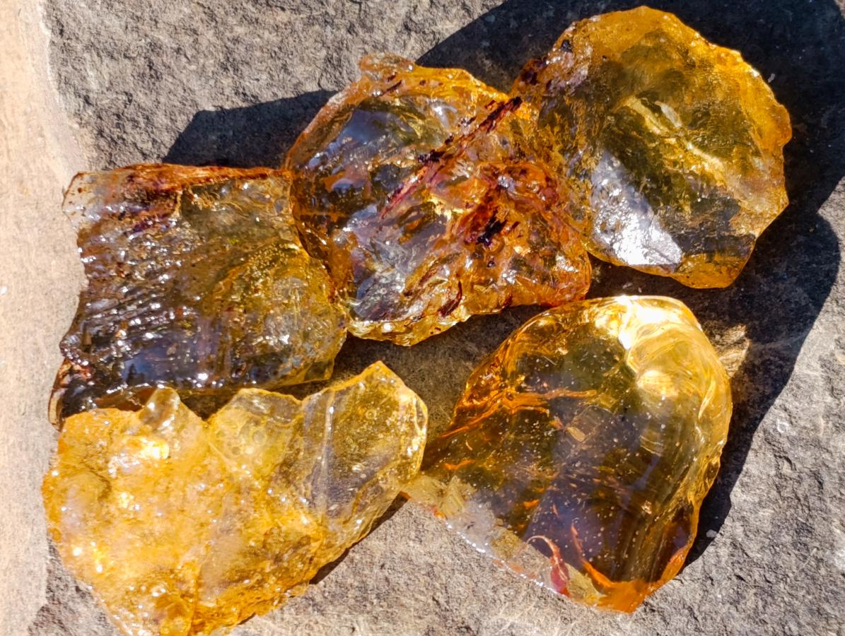 Natural Copal Amber Specimens with Insect and Plant Inclusions x 35 From Lemur Island, Madagascar - Toprock Gemstones and Minerals 