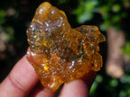 Natural Copal Amber Specimens with Insect and Plant Inclusions x 35 From Lemur Island, Madagascar - Toprock Gemstones and Minerals 