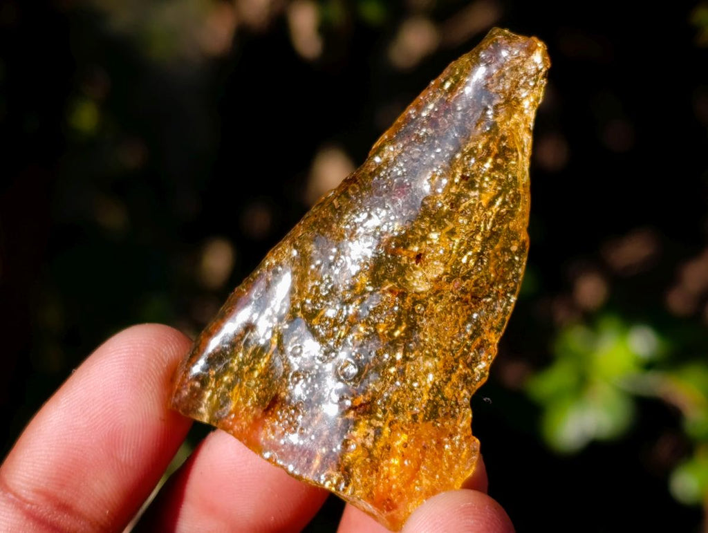 Natural Copal Amber Specimens with Insect and Plant Inclusions x 35 From Lemur Island, Madagascar - Toprock Gemstones and Minerals 