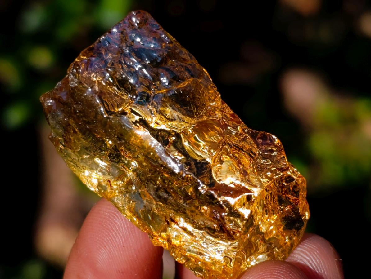 Natural Copal Amber Specimens with Insect and Plant Inclusions x 35 From Lemur Island, Madagascar - Toprock Gemstones and Minerals 