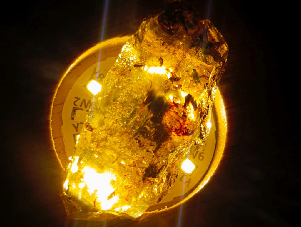 Natural Copal Amber Specimens with Insect and Plant Inclusions x 35 From Lemur Island, Madagascar - Toprock Gemstones and Minerals 