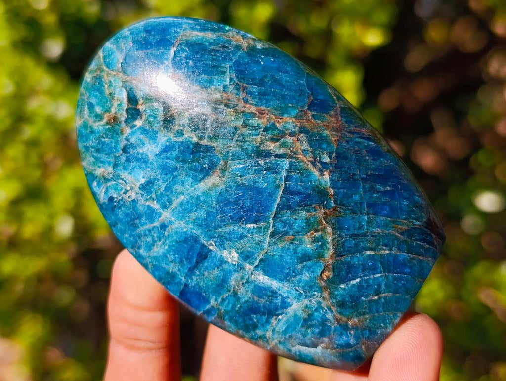 Polished Blue Apatite Standing Display Pieces x 6 From Betroka, Madagascar - Toprock Gemstones and Minerals 