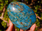 Polished Blue Apatite Standing Display Pieces x 6 From Betroka, Madagascar - Toprock Gemstones and Minerals 