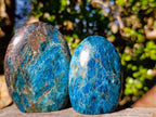 Polished Blue Apatite Standing Display Pieces x 6 From Betroka, Madagascar - Toprock Gemstones and Minerals 
