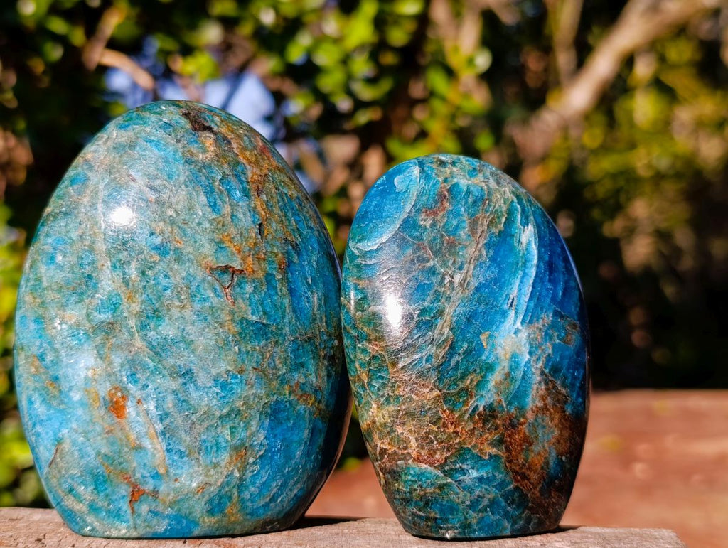 Polished Blue Apatite Standing Display Pieces x 6 From Betroka, Madagascar - Toprock Gemstones and Minerals 