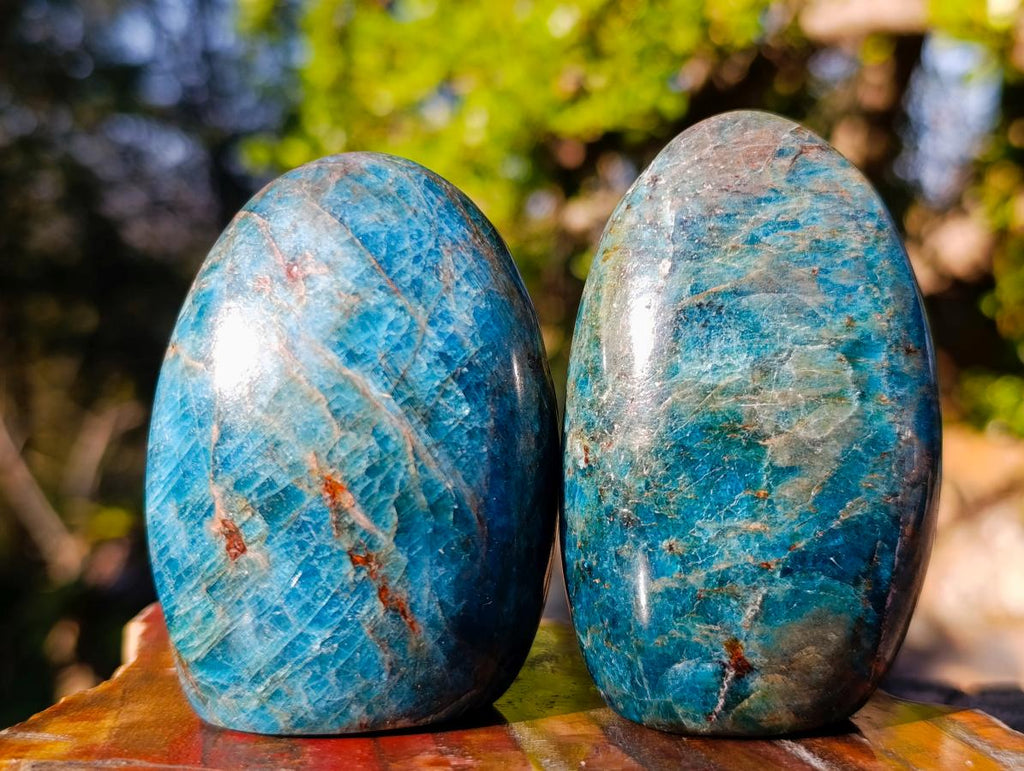 Polished Blue Apatite Standing Display Pieces x 6 From Betroka, Madagascar - Toprock Gemstones and Minerals 