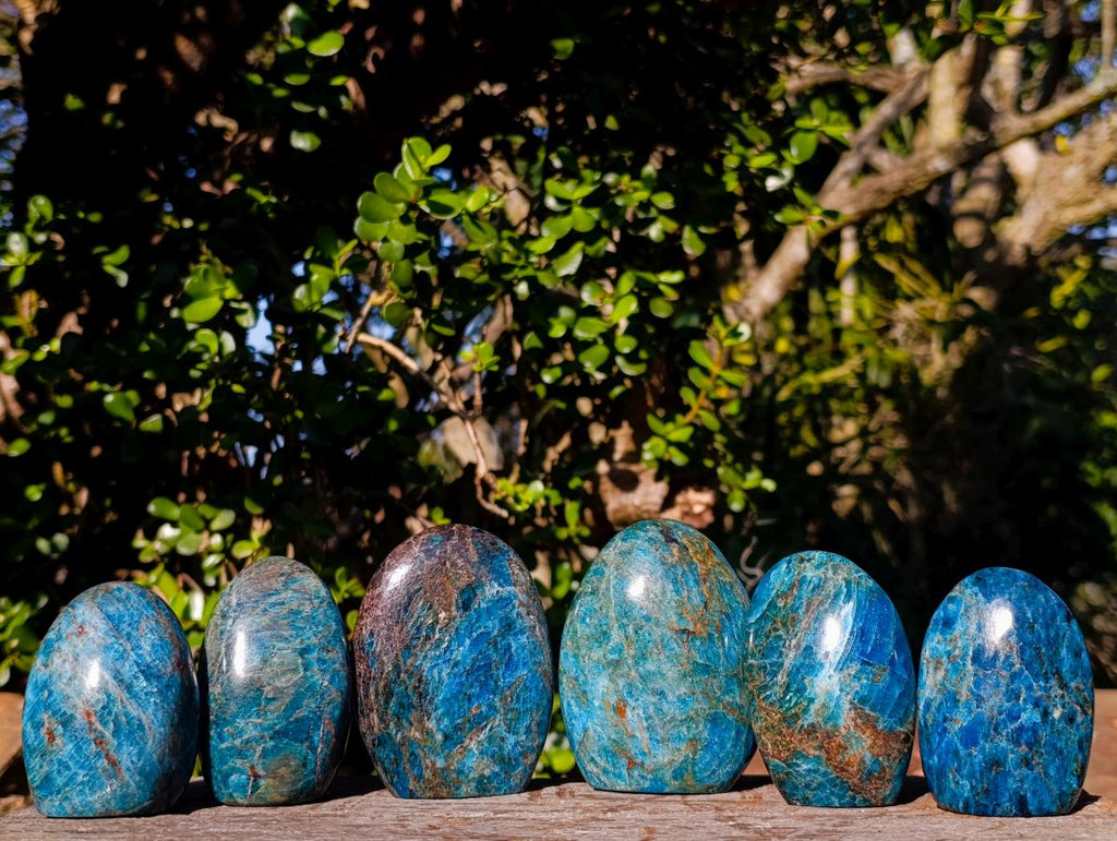 Polished Blue Apatite Standing Display Pieces x 6 From Betroka, Madagascar - Toprock Gemstones and Minerals 