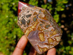 Polished Strawberry Agate Display Crystals x 2 From Mozambique - Toprock Gemstones and Minerals 
