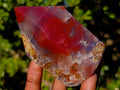Polished Strawberry Agate Display Crystals x 2 From Mozambique - Toprock Gemstones and Minerals 