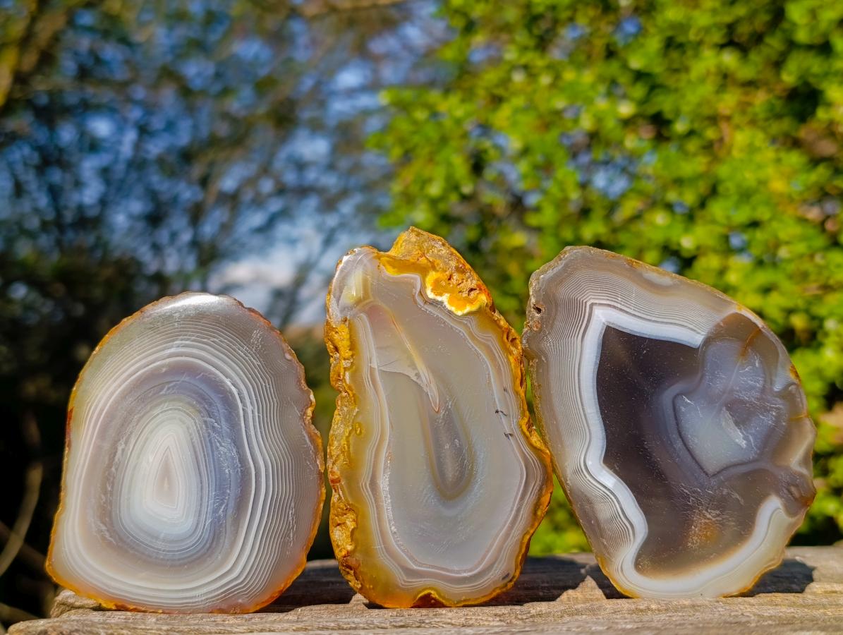 Polished Banded Agate Slices with Natural Edging x 12 From Madagascar - Toprock Gemstones and Minerals 