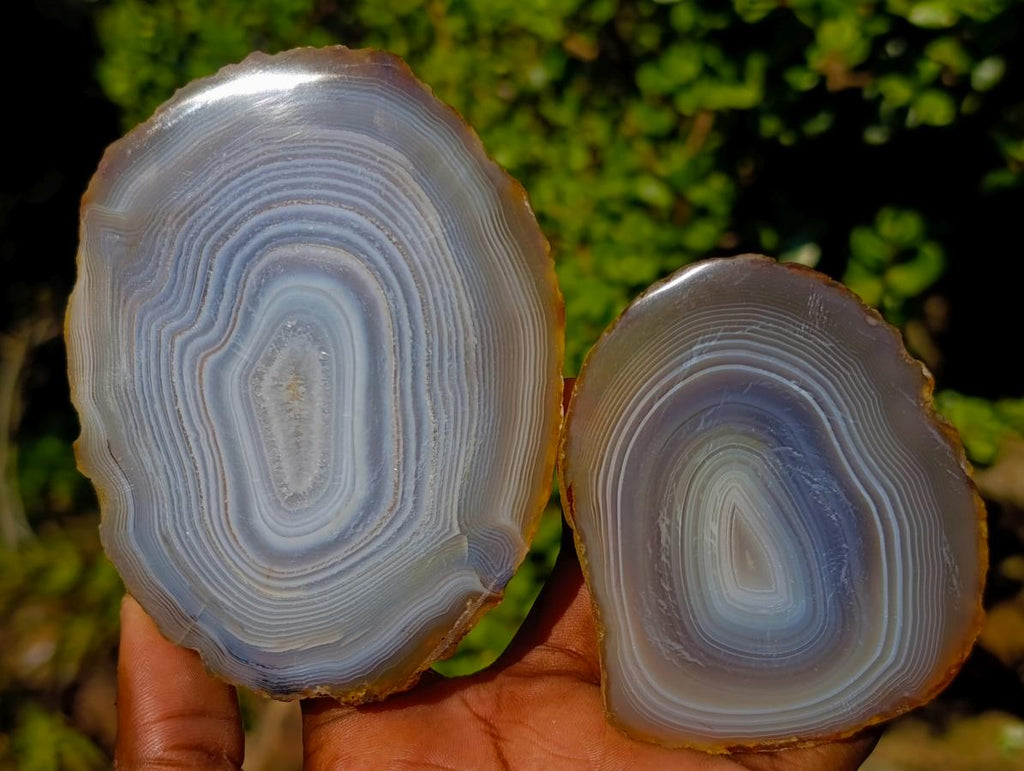 Polished Banded Agate Slices with Natural Edging x 12 From Madagascar - Toprock Gemstones and Minerals 