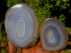 Polished Banded Agate Slices with Natural Edging x 12 From Madagascar - Toprock Gemstones and Minerals 