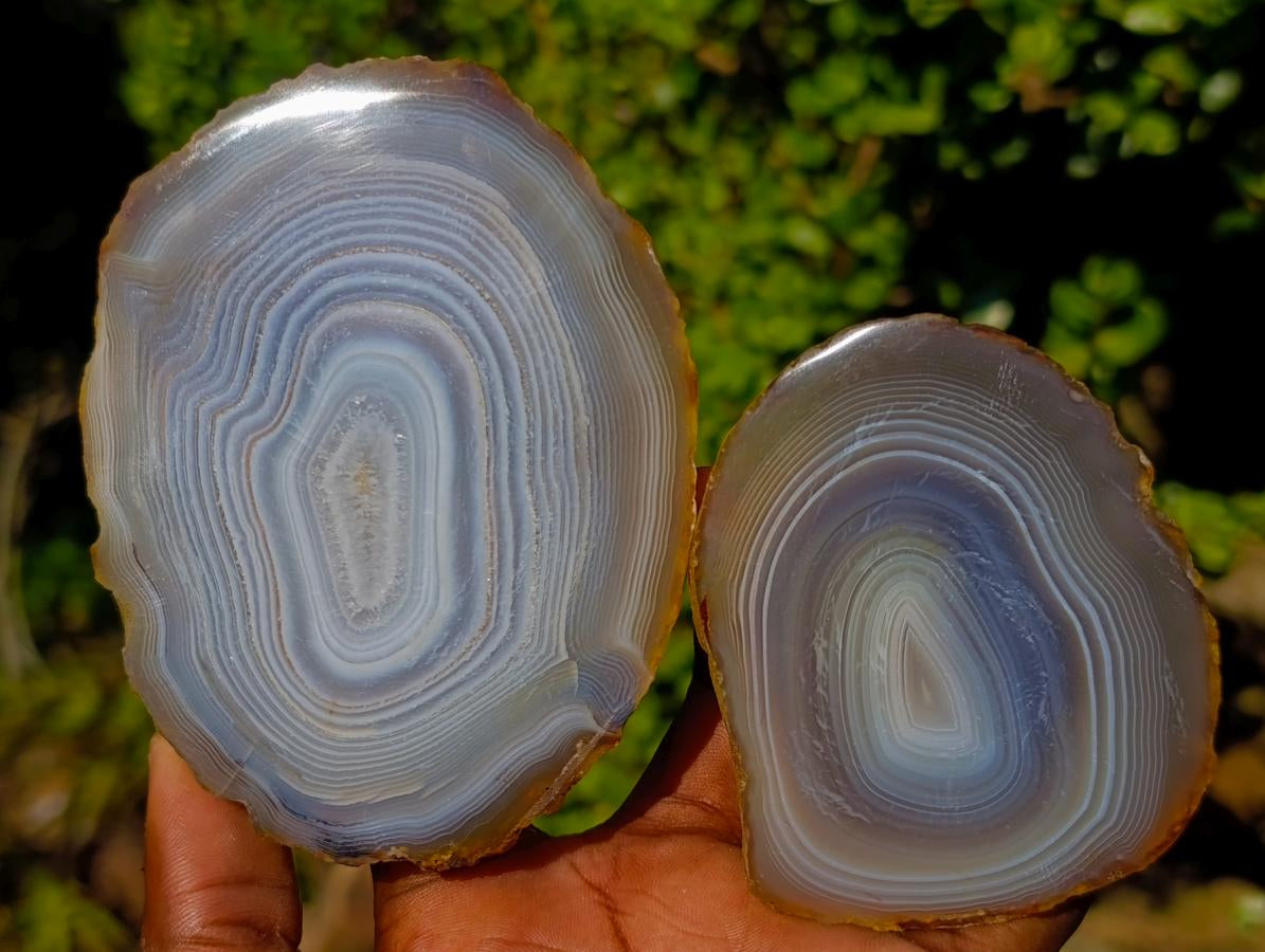 Polished Banded Agate Slices with Natural Edging x 12 From Madagascar - Toprock Gemstones and Minerals 