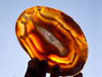 Polished Banded Agate Slices with Natural Edging x 12 From Madagascar - Toprock Gemstones and Minerals 