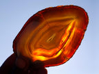 Polished Banded Agate Slices with Natural Edging x 12 From Madagascar - Toprock Gemstones and Minerals 