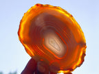 Polished Banded Agate Slices with Natural Edging x 12 From Madagascar - Toprock Gemstones and Minerals 