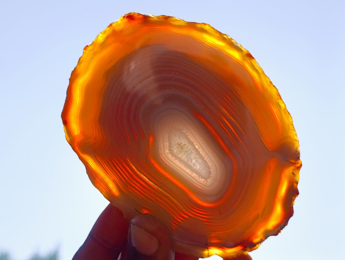Polished Banded Agate Slices with Natural Edging x 12 From Madagascar - Toprock Gemstones and Minerals 