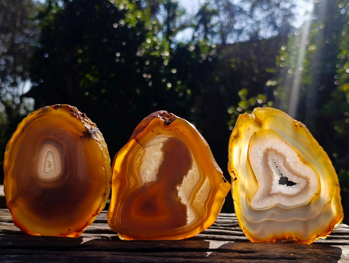 Polished Banded Agate Slices with Natural Edging x 12 From Madagascar - Toprock Gemstones and Minerals 
