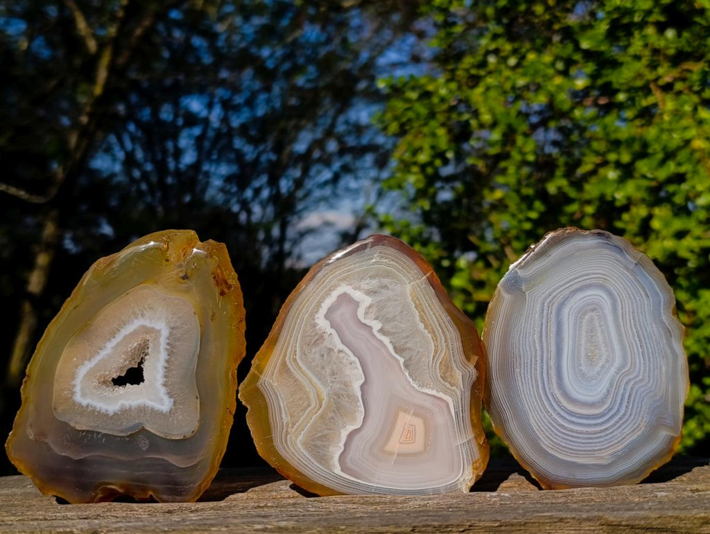 Polished Banded Agate Slices with Natural Edging x 12 From Madagascar - Toprock Gemstones and Minerals 