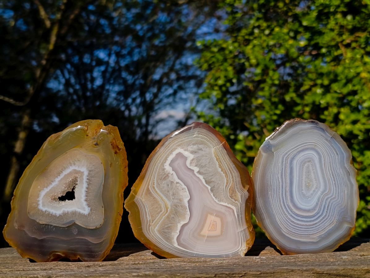 Polished Banded Agate Slices with Natural Edging x 12 From Madagascar - Toprock Gemstones and Minerals 