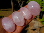 Polished Gemmy Rose Quartz Palm Stones x 24 From Madagascar - Toprock Gemstones and Minerals 