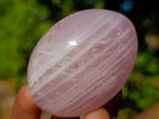 Polished Gemmy Rose Quartz Palm Stones x 24 From Madagascar - Toprock Gemstones and Minerals 