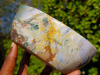 Polished Ocean Jasper Bowls x 2 From Northwest Coast, Madagascar - Toprock Gemstones and Minerals 