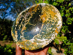 Polished Ocean Jasper Bowls x 2 From Northwest Coast, Madagascar - Toprock Gemstones and Minerals 