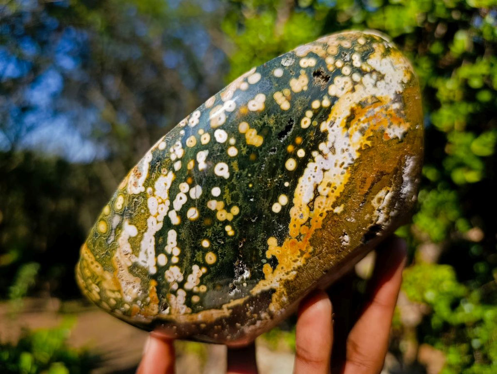 Polished Ocean Jasper Bowls x 2 From Northwest Coast, Madagascar - Toprock Gemstones and Minerals 