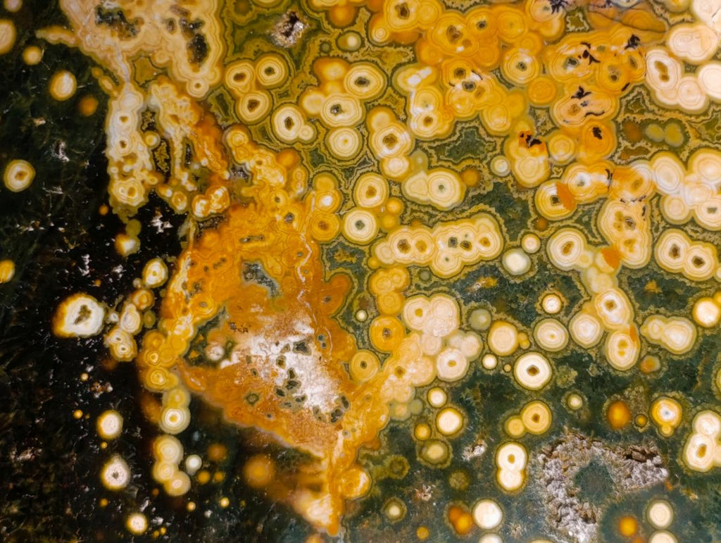Polished Ocean Jasper Bowls x 2 From Northwest Coast, Madagascar - Toprock Gemstones and Minerals 