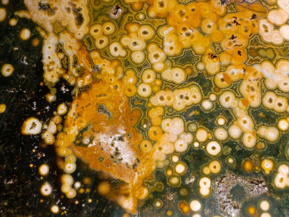 Polished Ocean Jasper Bowls x 2 From Northwest Coast, Madagascar - Toprock Gemstones and Minerals 